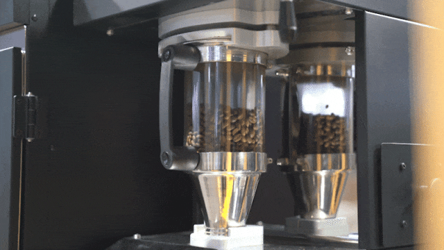 1700467067419093265.gif 1700467067419093265.gif